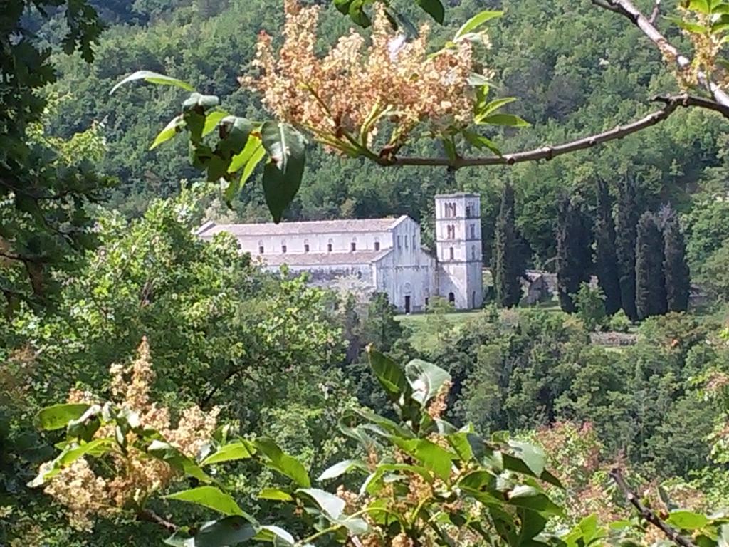 Le Pietre Ricce B&B Roccamontepiano Bagian luar foto